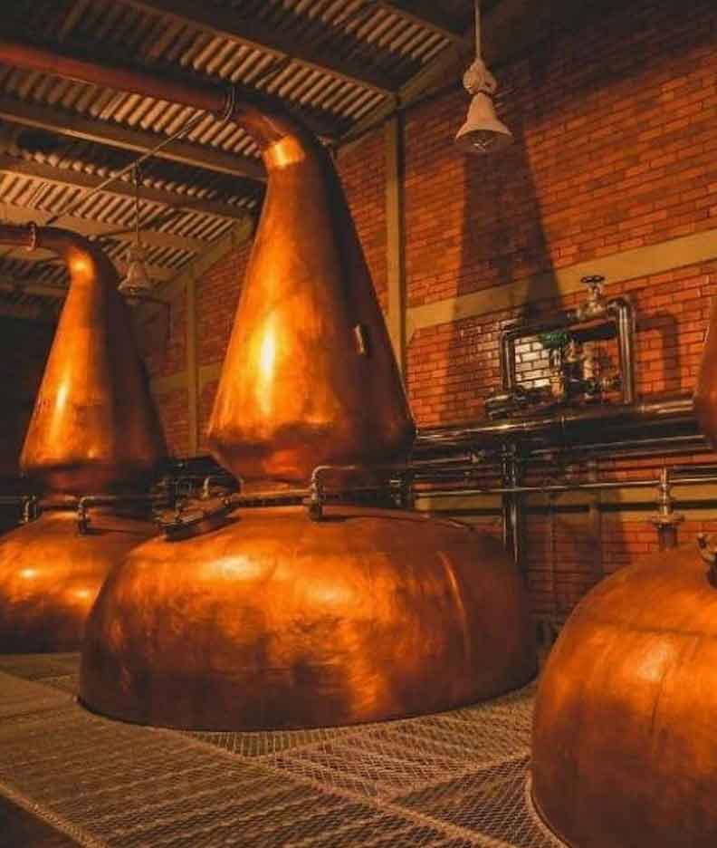 Destilaria de Whiskey Rio Grande do Sul